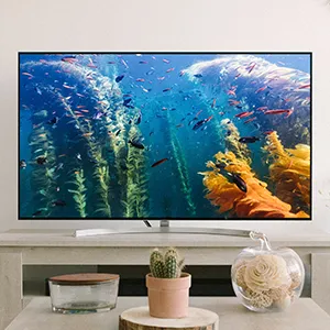 TV, DVD & Video
